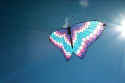 Blue Bargello Butterfly