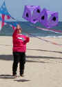 Alice with her Wadsworth Spinners