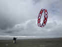 Giant Circoflex
