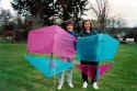 A "no-sew" class roller kite.