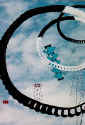 noodle kite