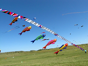 Ft. Worden Windbow at Callaway 2014