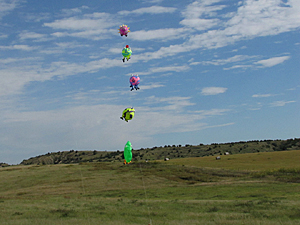 Our Ball Guys fly over the pasture