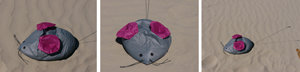 mouse sandbag