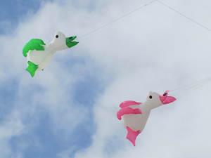 green and pink ducks