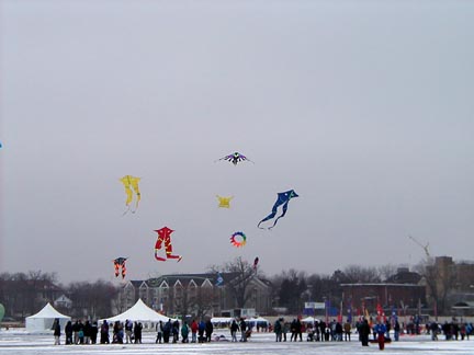 Valcke delta fish kites.