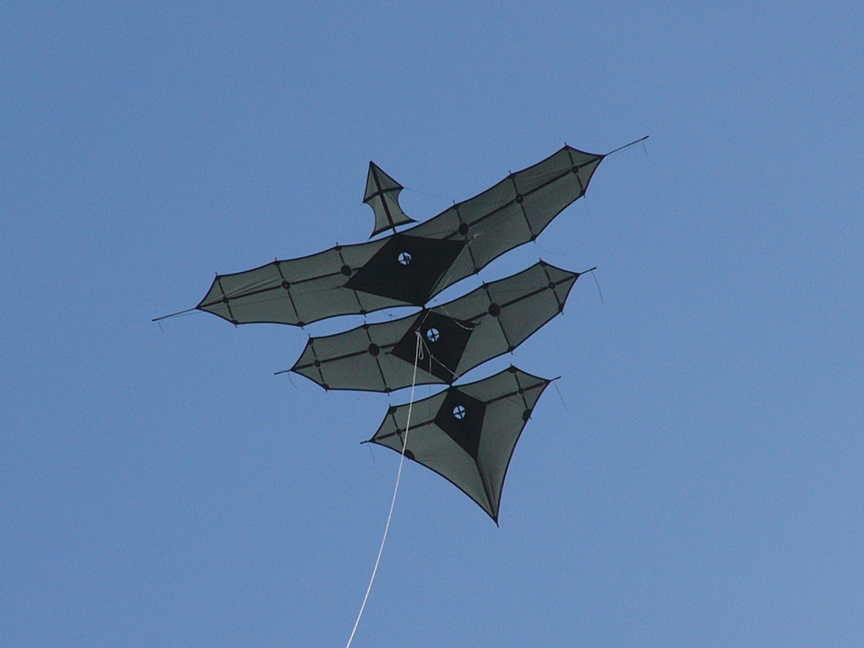 Brogdan 6-wing