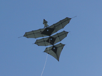 Brogden 6-wing