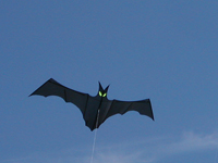 Bat Kite