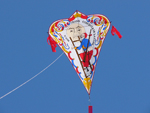 Pear Top kite close-up.