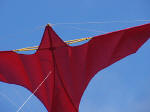 Voitlnder classic kite closeup