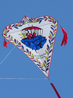 La Crinoline Parachute