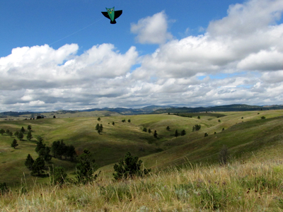 Flying above Wind Cave Park