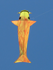 Fire Koi kite