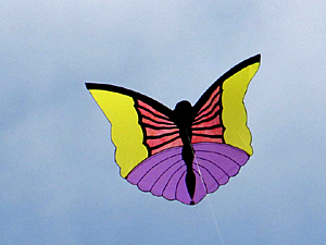 appliqud butterfly