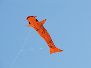 Koi Kite