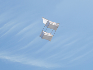 Silk kite