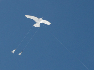 Sea Gull kite