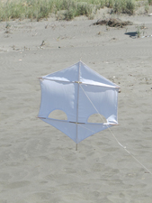 small kite