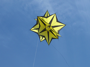 black and yellow star