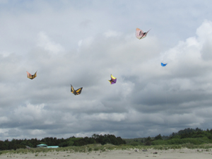 butterfly flock