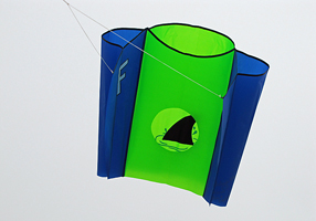 Finley's kite