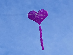 Peter Lynn heart