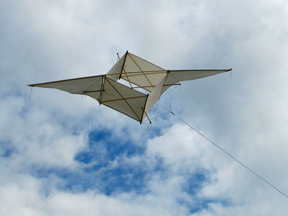 Frits' 2026 UCVGP kite