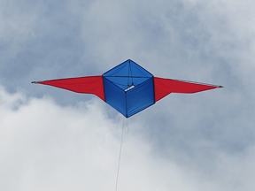 UCVGP 2025 kite