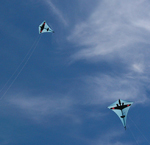 replica kites flying over Fan